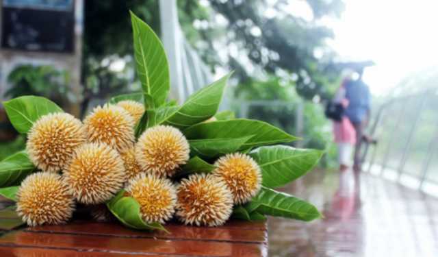 আষাঢ়ের প্রথম দিন আজ