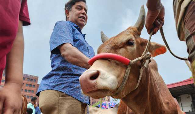বৃষ্টিতে কোরবানির পশুর দাম কমার আশঙ্কা ব্যবসায়ীদের