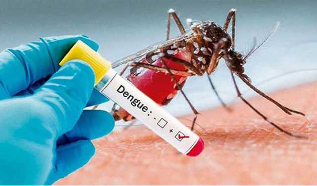 ডেঙ্গু: ২৪ ঘণ্টায় মৃত্যু ২, হাসপাতালে ভর্তি ১৫৯