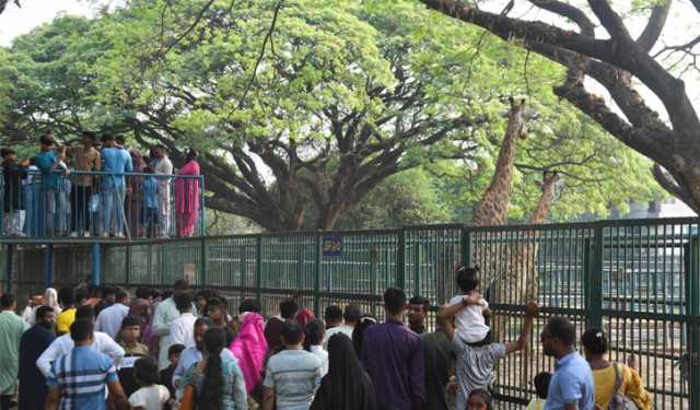 ‘ছুটির দিন যেন অন্যরকম ঈদ’
