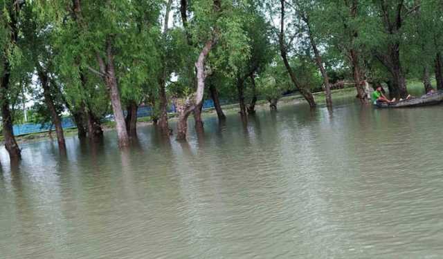 কেওড়া গাছের ডালে ঝুলছিল অজ্ঞাত ব্যক্তির মরদেহ