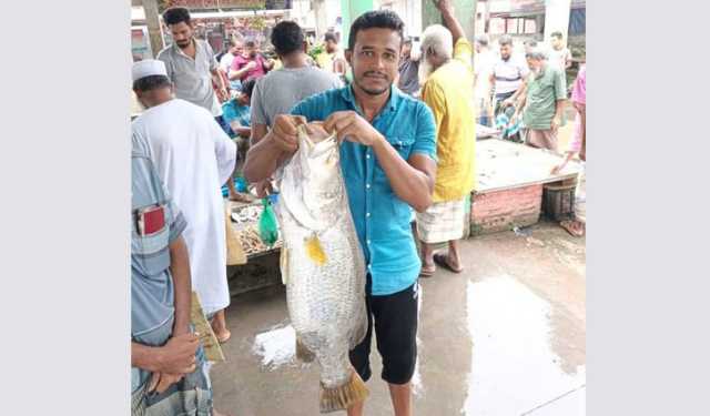 জেলের জালে ১০ কেজির কোরাল
