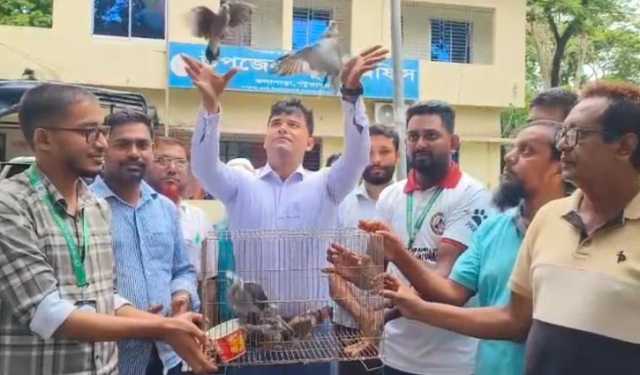 মুক্ত আকাশে উড়িয়ে দেওয়া হলো ১০টি তিলা ঘুঘু 
