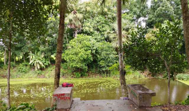 পুকুরে ভাসছিল তরুণীর লাশ