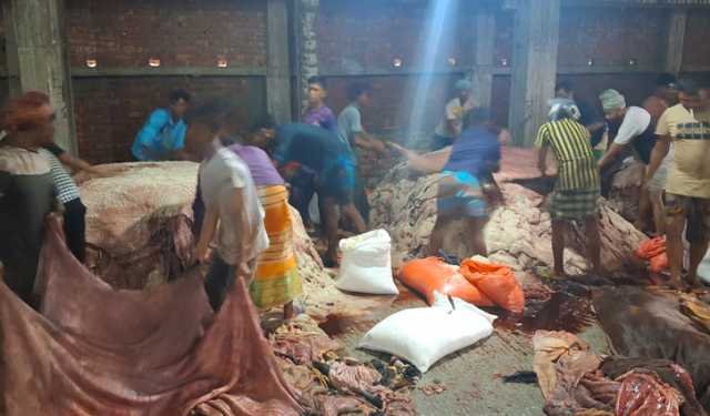 সাভারে চামড়া শিল্প নগরী: চামড়ায় লবণ লাগিয়ে চলছে কাটিং সোকিং
