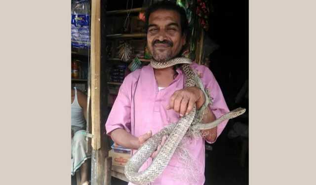 সাপের কামড়ে সাপুড়ের মৃত্যু