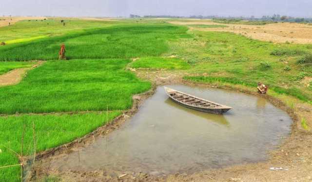 পদ্মার চরে গুলিতে ২ জন নিহত, গুলিবিদ্ধ ২  