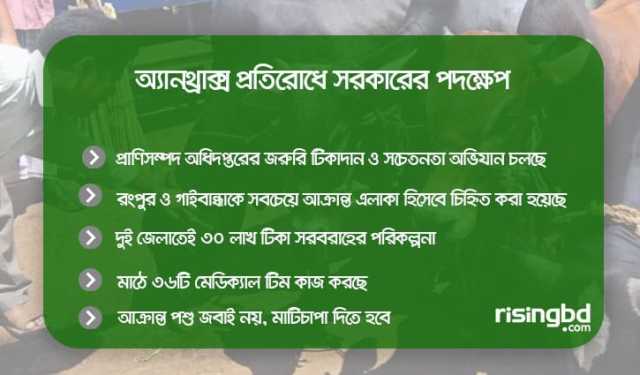 অ্যানথ্রাক্স প্রতিরোধে সরকার কী করছে
