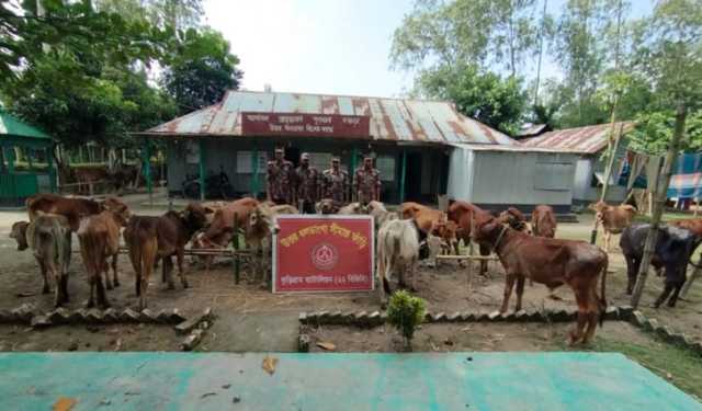 কুড়িগ্রামে এক মাসে ২ কোটি টাকার ভারতীয় পণ্য জব্দ করেছে বিজিবি