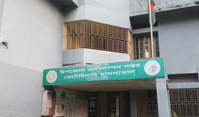 দৌলতপুর প্রাণিসম্পদ কার্যালয়ে জনবল সংকট, ভোগান্তিতে খামারিরা