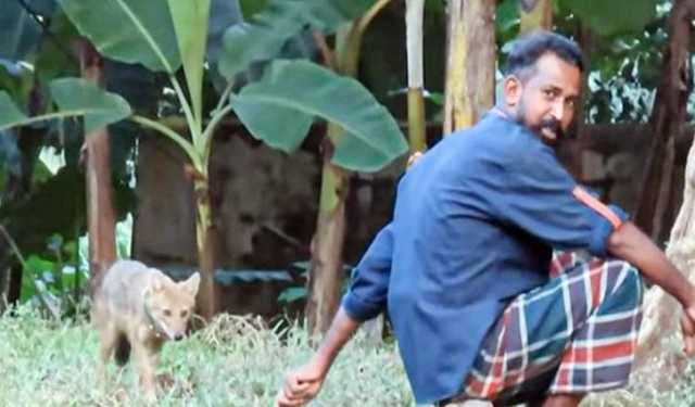 মানুষ আর শিয়ালের বন্ধুত্ব