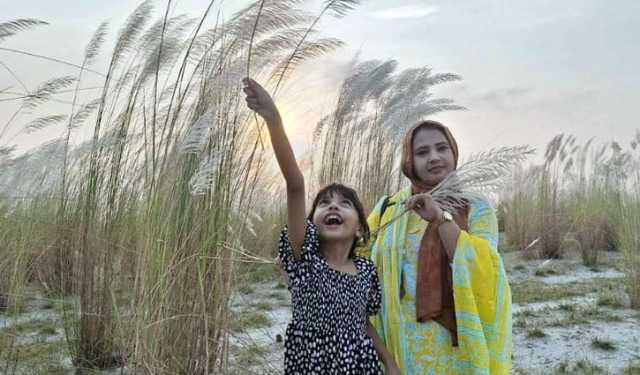 যমুনার পাড়ে অপরূপ কাশফুলের মেলা 