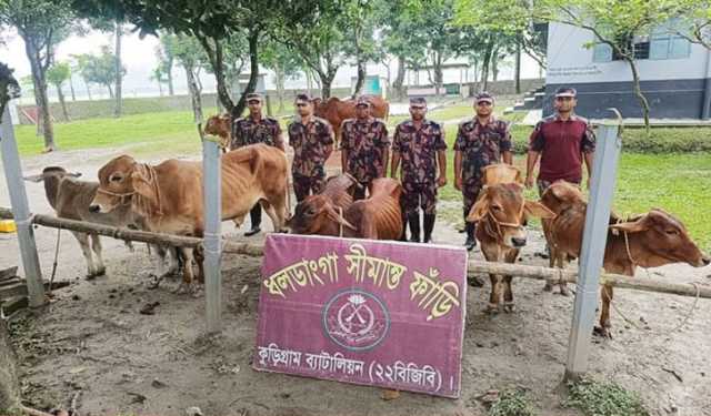 কুড়িগ্রামে সীমান্তে ৬৮ লাখ টাকার ভারতীয় মালামাল জব্দ
