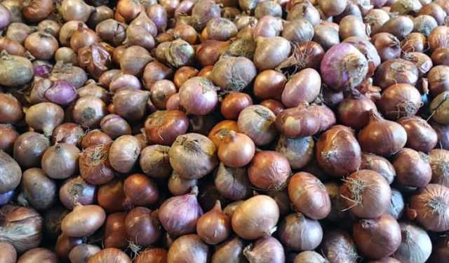 পেঁয়াজের দাম প্রতিবছর বাড়ে কেন?