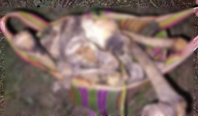 নড়াইলে খাল থেকে মানুষের কঙ্কাল উদ্ধার