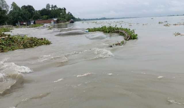 কুড়িগ্রামে এবার নদের স্রোতে ভেসে এলে মৃত গন্ডার