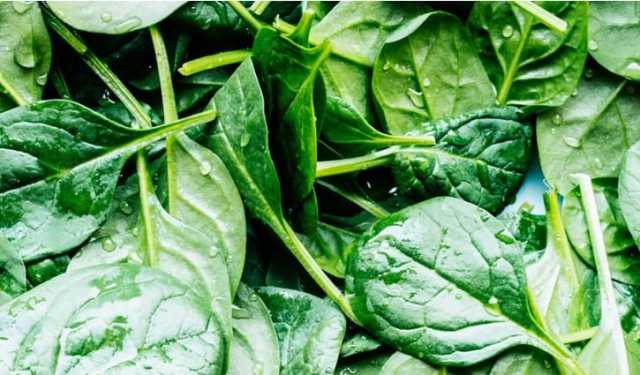 রক্তস্বল্পতা দূর করতে এই শাক খেতে পারেন