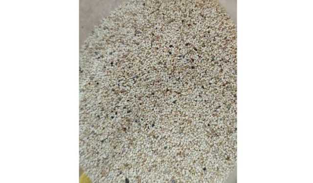 পাখির খাদ্যের আড়ালে পাকিস্তান থেকে পপি বীজ এনে ধরা 