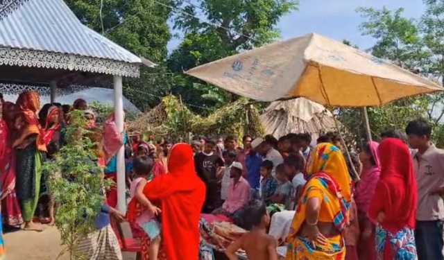 পুকুরে মাছ ধরতে নেমে বিদ্যুৎস্পৃষ্টে দুজনের মৃত্যু