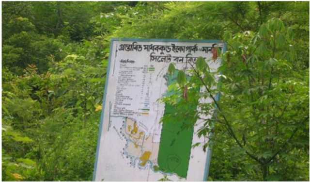 বিদ‍‍্যুতের তারে প্রাণ হারাচ্ছে লজ্জাবতী বানর ও চশমাপরা হনুমান