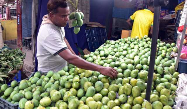 আম-লিচুতে ভরেছে রাজশাহীর বাজার, অনিশ্চিত ‘ম্যাঙ্গো স্পেশাল ট্রেন’