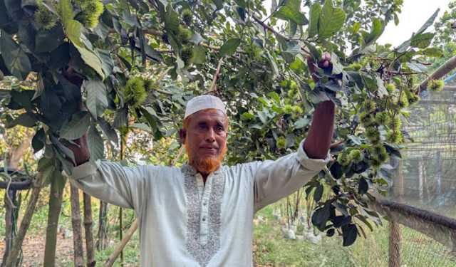 শখের সেই মিশ্র ফল বাগান এখন আয়ের দারুণ উৎস