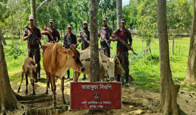 ফেনী সীমান্তে ভারতীয় গরুসহ ৯৬ লাখ টাকার পণ্য জব্দ