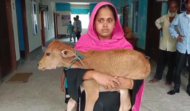অবশেষে স্বেচ্ছাসেবক দল নেতা গরু ফেরত দিলেন, দল থেকেও বহিষ্কার