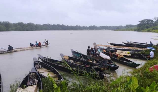 হালদায় ডিম ছেড়েছে মা মাছ, সংগ্রহে ব্যস্ত জেলেরা