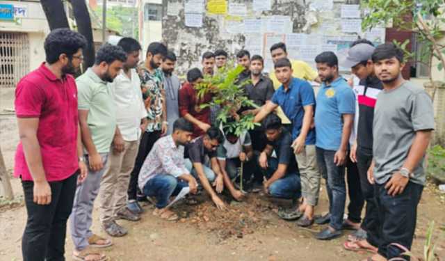 জবিতে ছাত্রদলের বৃক্ষরোপণ কর্মসূচি