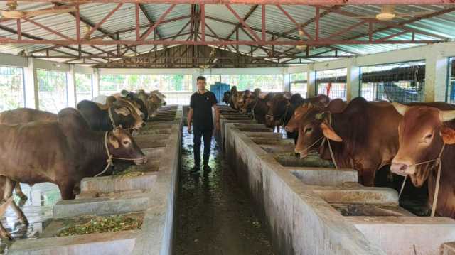 ঝিনাইদহের ৭০ হাজার পশু অন্য জেলায় বিক্রি করা হচ্ছে