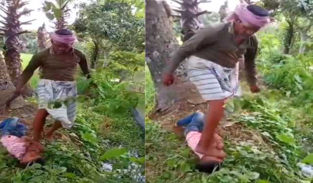 তাল পাড়ার অপরাধে শিশুর মুখে-বুকে লাথি