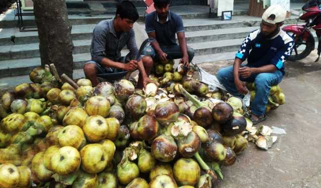 হিলির হাটে-বাজারে গুণেভরা তালশাঁসের রাজত্ব