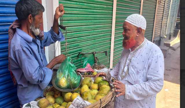 হাড়িভাঙ্গার রাজ্যে যশোর-সাতক্ষীরার আমের দাপট