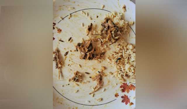 সিকৃবিতে ক্যাফেটেরিয়ার খাবারে পোকার লার্ভা