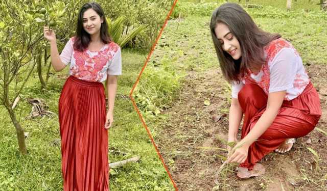 পুরোদমে কৃষি কাজ করব: বুবলী