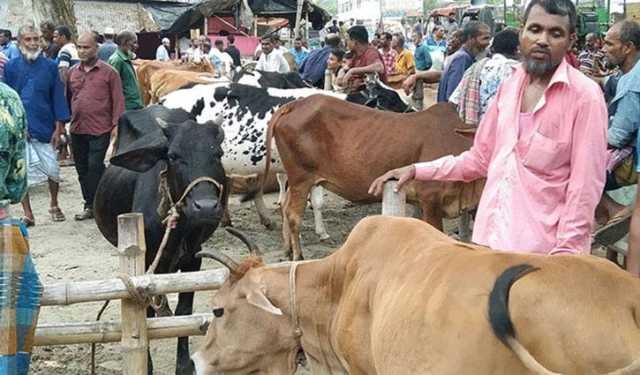 ‘সড়ক ও মহাসড়কে কোরবানির পশুর হাট বসতে দেওয়া হবে না’
