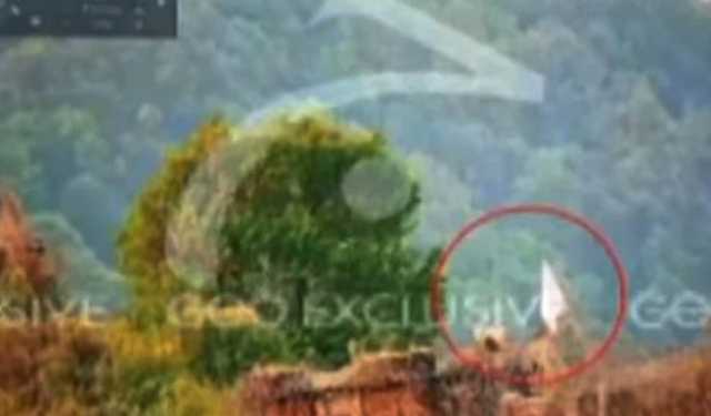 ‘সাদা পতাকা উত্তোলন করেছে ভারত’