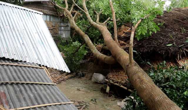 ঝড়ে উপড়ে গেছে শতাধিক গাছ, বজ্রপাতে কৃষকের মৃত্যু