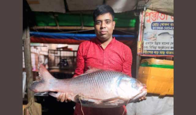 মেঘনায় জেলের জালে ১৯ কেজির কাতল, ১৬ হাজারে বিক্রি