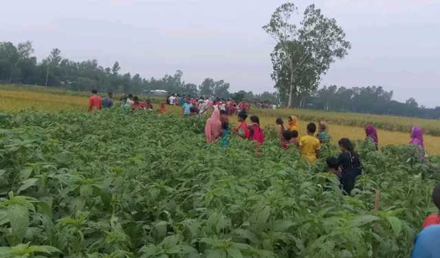 নারীর বিবস্ত্র মরদেহ উদ্ধার, মুখ ও শরীরের বিভিন্ন অংশ ছিল পোড়া