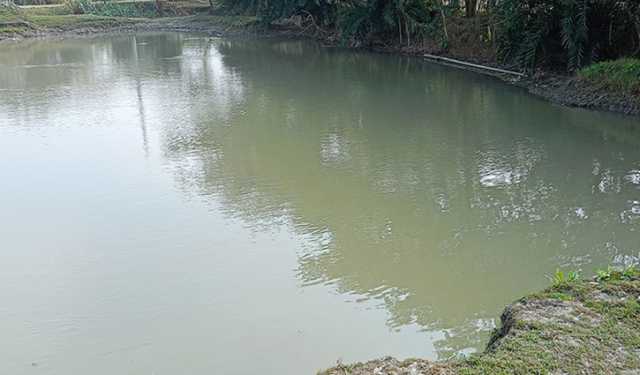 হাইমচরে পুকুরে ডুবে ভাই-বোনের মৃত্যু