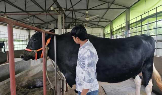 গাজীপুরে আলোচনার কেন্দ্রে ‘ভাওয়াল রাজা’ 