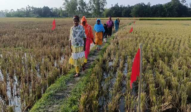 এক যুগ পর আ.লীগ নেতার দখল থেকে সরকারি সড়ক উদ্ধার
