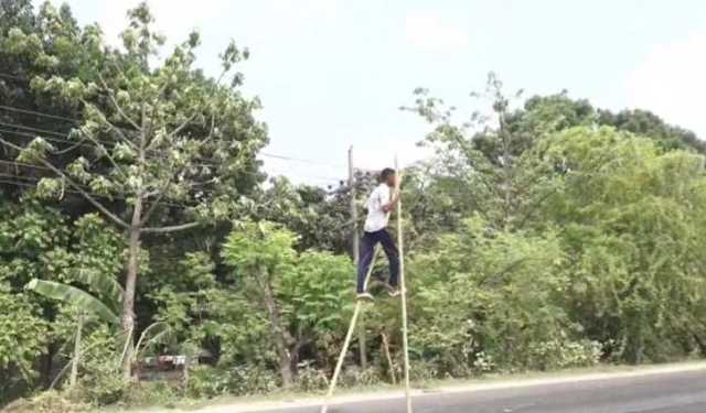 রণপায়ে হাঁটছে তুহিন 