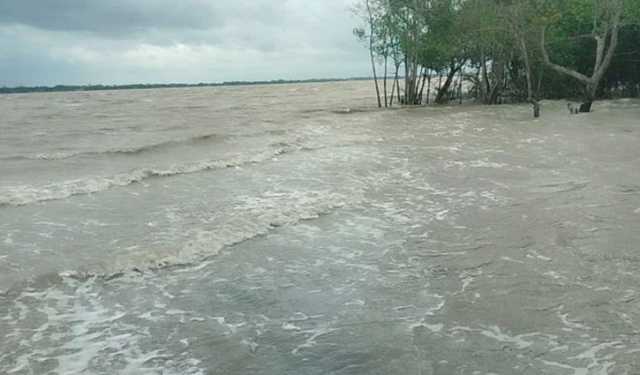 বাগেরহাটে জোয়া‌রে ভেসে আসা হরিণ শাবক অবমুক্ত