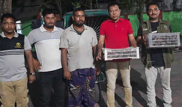 কুষ্টিয়ায় ৪০টি শালিক পাখি উদ্ধার
