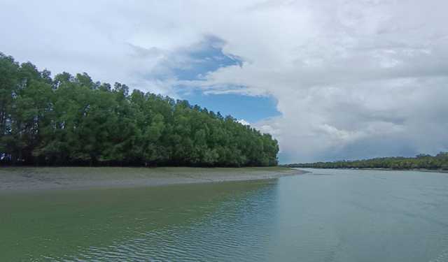 সুন্দরবনে প্রবেশে ৩ মাসের নিষেধাজ্ঞা