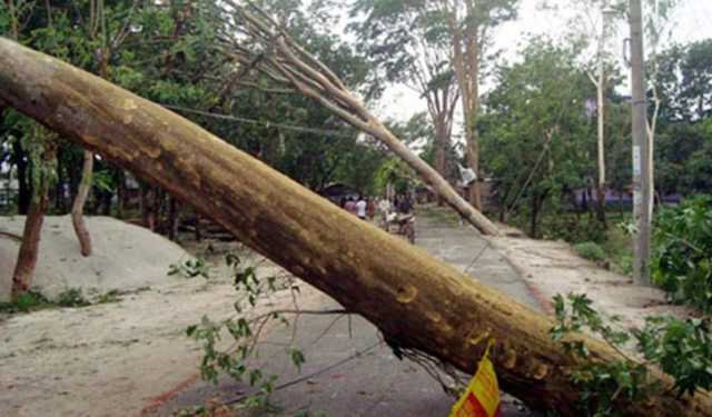 ঝড়ে গাছের ডাল ভেঙে র‌্যাব সদস্য নিহত