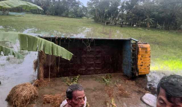 গরুবাহী ট্রাক নিয়ন্ত্রণ হারিয়ে খাদে, যুবকের মৃত্যু